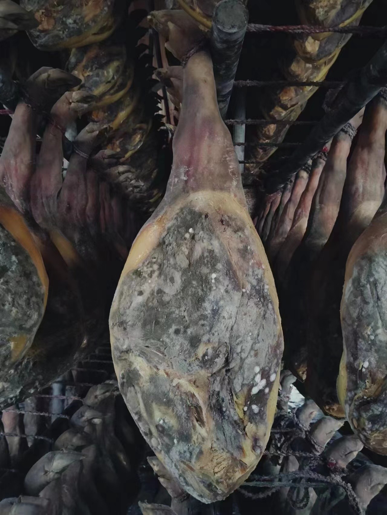 巴山牧業與金華火腿戰略合作